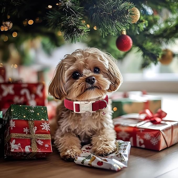 Cute Corduroy Dog Collar - Burgundy Adjustable Dog Collars for X-Small Dogs 4-10lbs, Fade-Proof with Secure Snap & Little Charm, Christmas Birthday Gift, XS
