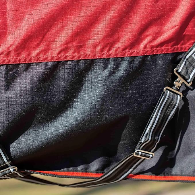 Equinavia Norse Lightweight 100g Fill Horse Rain Blanket | Waterproof Turnout Sheet - Black - 66 in - Equestrian Red - 69 in