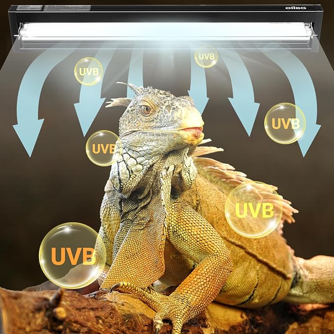 Oiibo T5 HO Reptile Light Fixture UVB Lighting Combo Kit, Reptiles Terrarium Lamp Hood Light Fixture Include UVB 10.0 Desert Reptile Light for Bearded Dragon Gecko Lizard (8W)