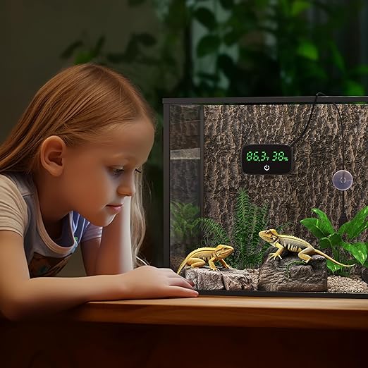 PAIZOO Reptile Thermometer Hygrometer, LED Digital Terrarium Thermometer and Humidity Gauge Snake Tank Accessories with USB Charging for Bearded Dragon, Tortoise, Reptile Tank, (Include 31.5'' Cable)