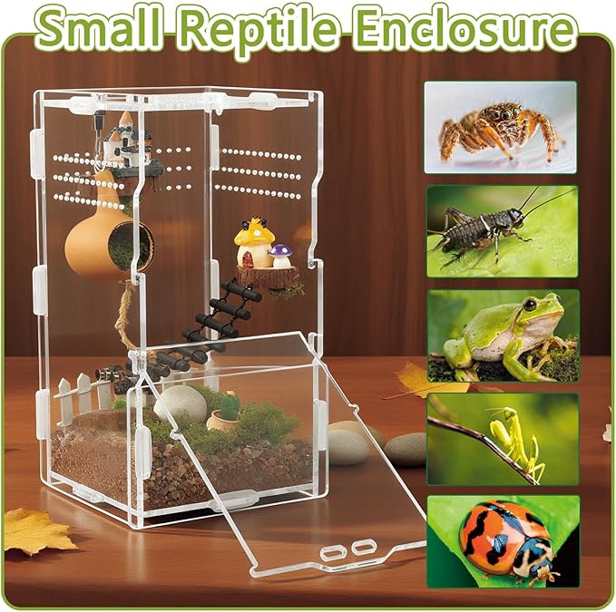 4x4x8 Inch Acrylic Reptile Terrarium，Front Opening Tarantula Enclosure with Swivel Lock & Magnetic Feeding Door，Small Spider Cage for Jumping Spider、Scorpion、Isopods、Snails