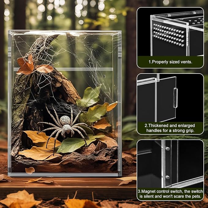 Jumping Spider Enclosure, One-Piece Fully Transparent Acrylic Reptile Enclosure, 3x3x6 inch Terrarium for Tree Frogs, Tarantulas, Mantises, Jumping Spiders