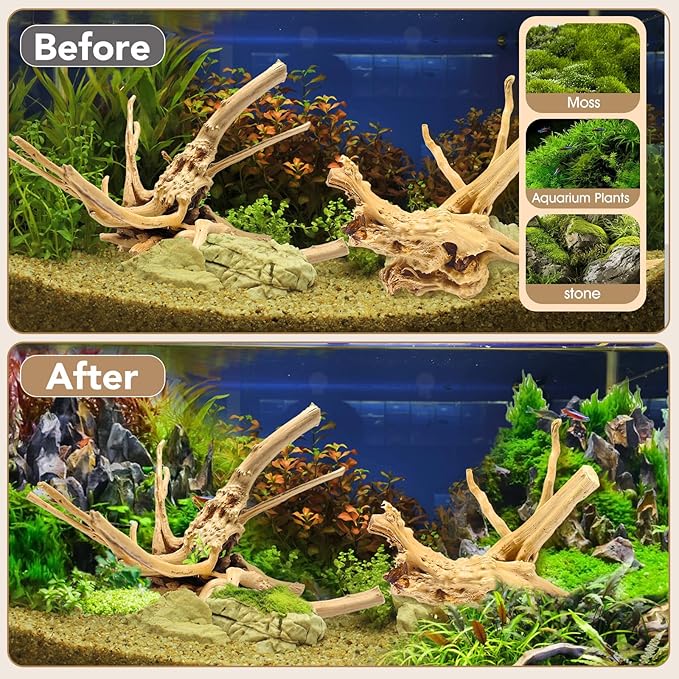 Jorewood Natural Large Spiderwood Driftwood for Aquarium Decor Rptile Fish Tank Decoration Assort Branch 11-14'' 2 Pcs