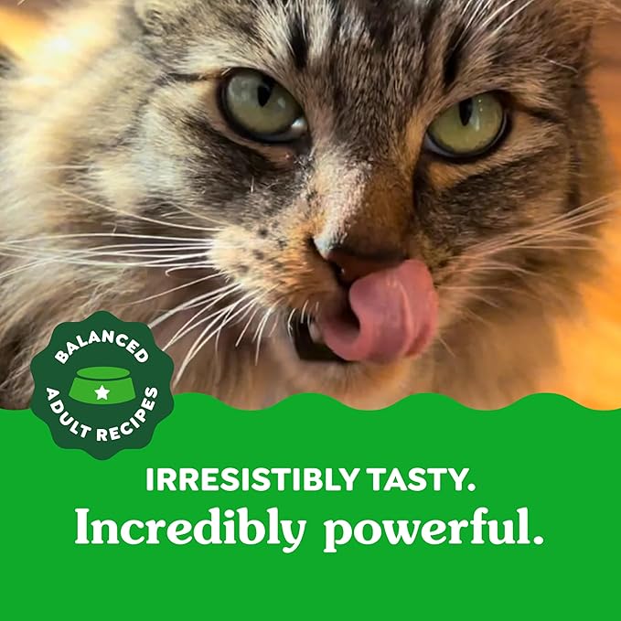 Greenies Feline Dental Cat Treats, Catnip Flavor, 21 oz. Tub