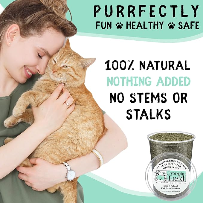 from The Field | Fine Ground Stalkless Catnip | Premium USA-Grown Catnip for Toys & Playtime | Fresh, Potent, Non-Toxic, Eco-Friendly | Safe for Kittens & Cats | Resealable 3.5 oz Tub