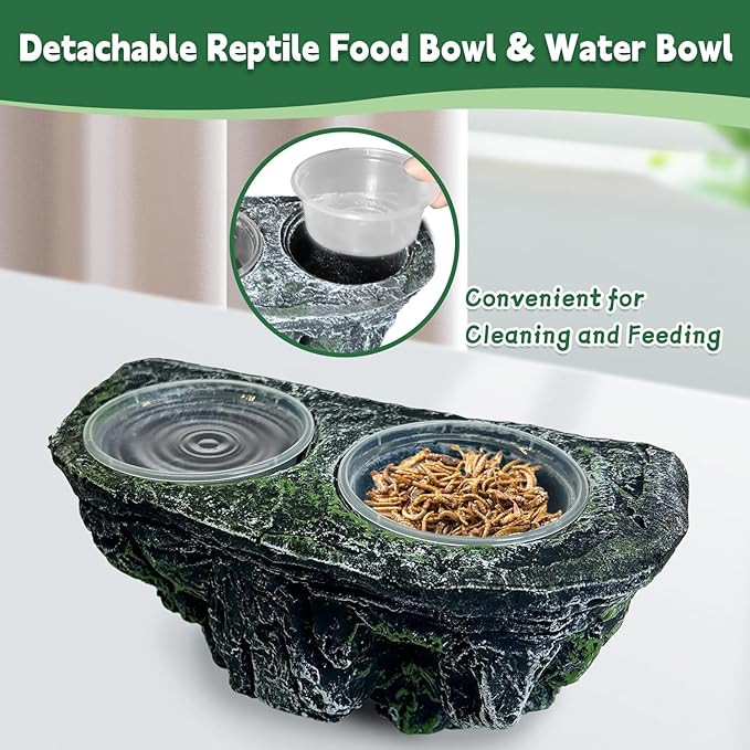 PINVNBY Reptile Feeding Ledge Double Reptile Water Bowl and Food Dish Crested Gecko Feeding Ledge with Suction Cup for Bearded Dragon Lizard Chameleon Snake and Other Reptiles