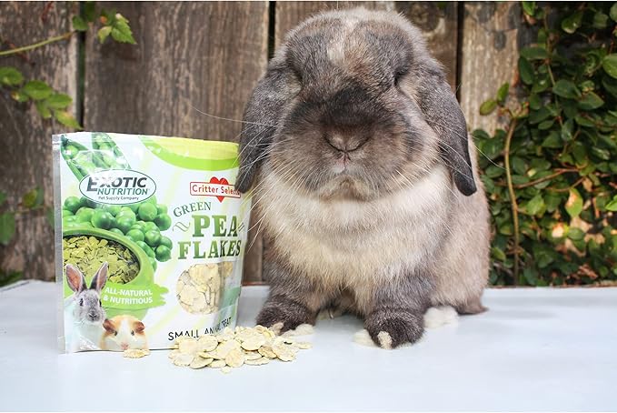 Exotic Nutrition Green Pea Flakes 3oz. - Healthy & Unique Treat - Rat, Degu, Prairie Dog, Chinchilla, Hedgehog, Parrot, Guinea Pig, Rabbit, Hamster