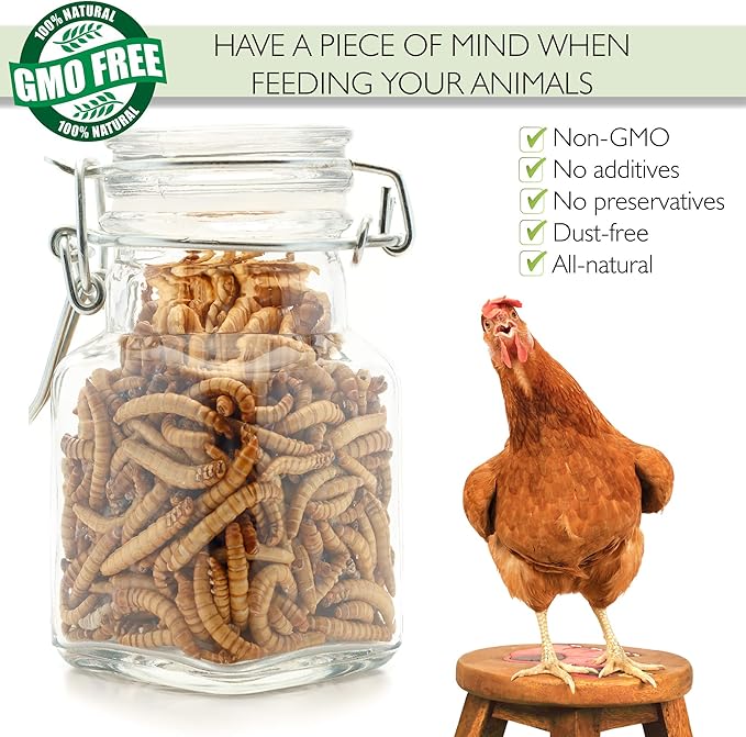 Dried Mealworms 100% Non-GMO 30 Oz - Mealworms for Birds, Chickens, Ducks - Perfect High-Protein Treats - Whole Large Meal Worms, Dried for Chickens and Bluebird Food Bulk