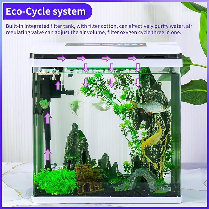 8 Gallon Fish Tank Starter Kit with Eco-Cycle Filtration, 7-Color LED Light & Air Pump. Features 360° Crystal View, Temp/Time Display, Quiet Aquarium Kit for Betta & Freshwater Fish.