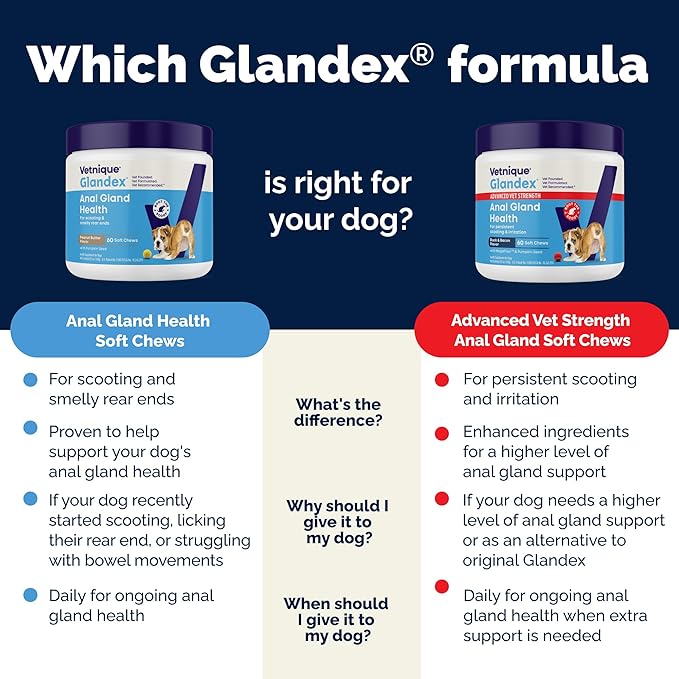 Vetnique Glandex Anal Gland Soft Chew Treats with Pumpkin for Dogs Digestive Enzymes, Probiotics Fiber Supplement for Dogs Boot The Scoot (Peanut Butter Chews, 120 Count)