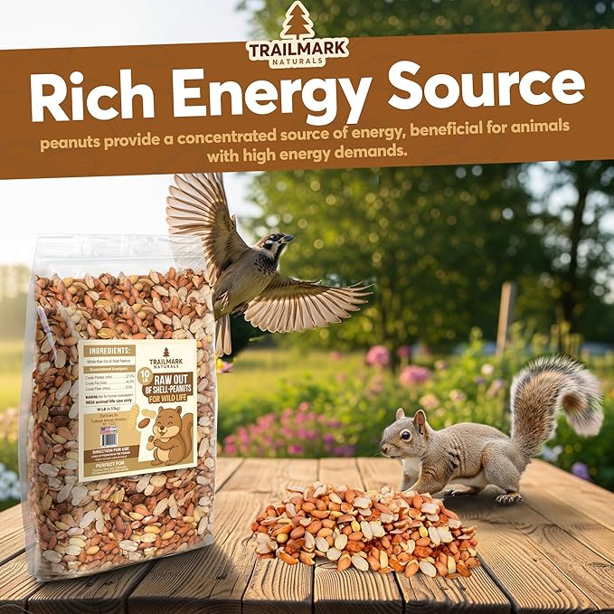 8 LB - Raw Shelled Peanuts For Squirrels, Out of Shell Peanuts For Birds and Wildlife- Squirrel Food, Wild Bird Seed - Grown in The USA