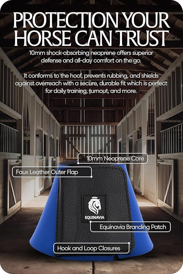 Equinavia Toki Bell Boots for Horses | Neoprene Overreach Boots - Royal Blue - S