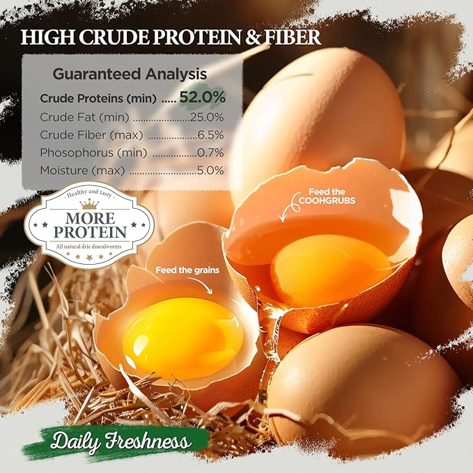 Dried Mealworms for Birds, Non-GMO High Protein Chicken Treats & Poultry Feed, 2 lb Bag