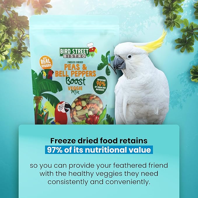 Bird Street Bistro Parrot Food - Parakeet & Cockatiel Food - Cooks in 3-15 min with Natural & Organic Grains, Legumes, Non-GMO Fruits, Vegetables & Health Spices
