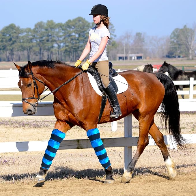 Horse Ice Boots - Reusable Gel Horses Ice Pack for Swelling & Pain | Cooling Leg Wraps for Horse Hock, Horse Knee, Horse Ankle & Horse Hooves | Horse Supplies & Care Gift Ideas - 1 Pair, Blue