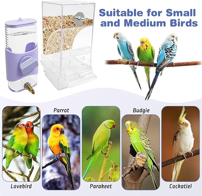 PINVNBY No Mess Bird Feeder & Water Dispenser Set Automatic Parrot Feeder Transparent Food Container Drinker Parakeet Cage Accessories for Cockatiel Budgie Lovebird Finch (Purple)