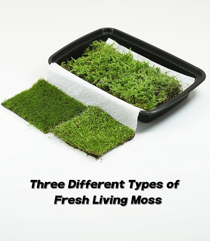 Moss Terrarium Beding Live Moss Terrarium Moss for Reptiles Peat Moss for Reptiles Habitat Bedding Moss for Snakes Turtle Frog Gecko and Other Reptiles Substrate Composite 3