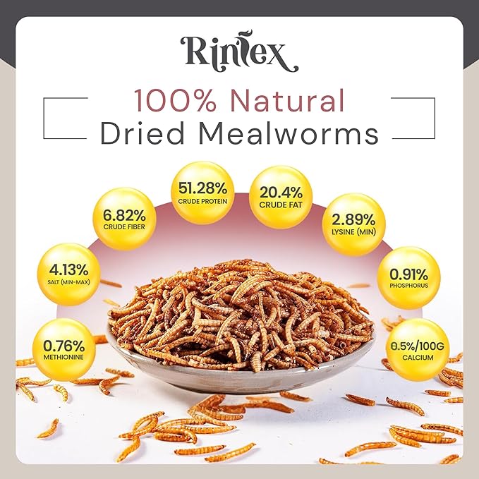 Dried Mealworms 1 lb - Chicken Food for Laying Hens - Bird Seed for Wild Birds - Wild Rabbit Food Outdoor - Duck Treats for Pet Ducks - Turtle Food for Small Turtles - Parrots Food, Snail Food