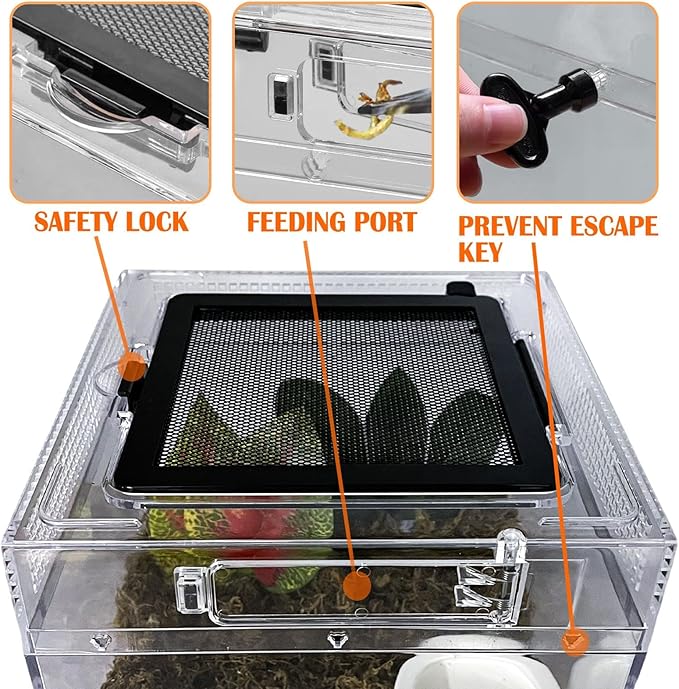 Reptile Terrarium, Jumping Spider Enclosure Starter Kit, Leopard Gecko Habitat Container, 8"x8"x6"Reptile Tank for Tarantula, Hermit Crab, Insect, Fish, Frog, Small Bearded Dragon, Lizard