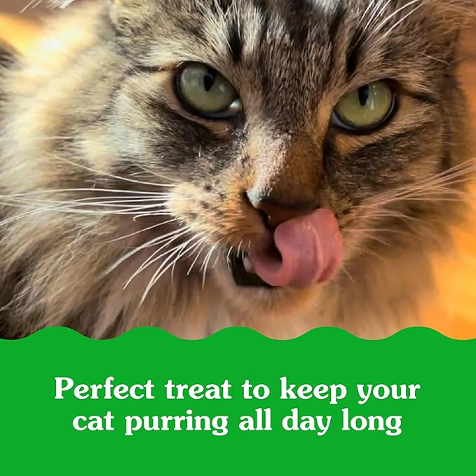 Greenies Feline Smartbites Skin & Fur Crunchy and Soft Cat Treats, Chicken Flavor, 4.6 oz. Pack