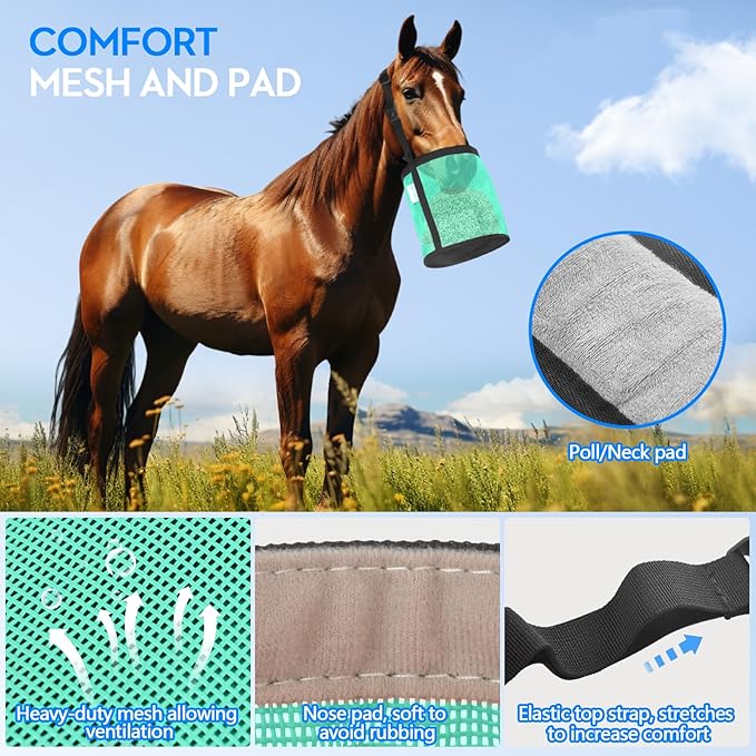 Horse Feed Bag Pack of 2, Feed Bags for Horses with Ventilation Mesh, Comfort Nose Pad Neck Pad, Adjustable Strap, Spill Proof Design for Independent Feeding Grain, Supplements (Mint)