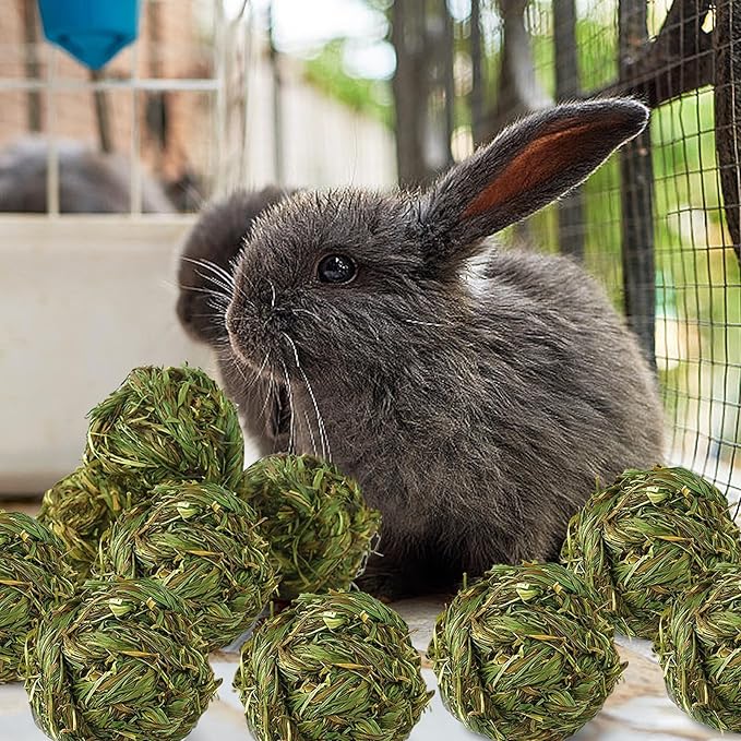 Hamiledyi 10 Pcs Rabbit Chew Ball Timothy Grass Ball Small Animal Activity Play Chew Toys Teeth Grinding for Bunny Rabbits Hamster Guinea Pigs Gerbils Chinchillas