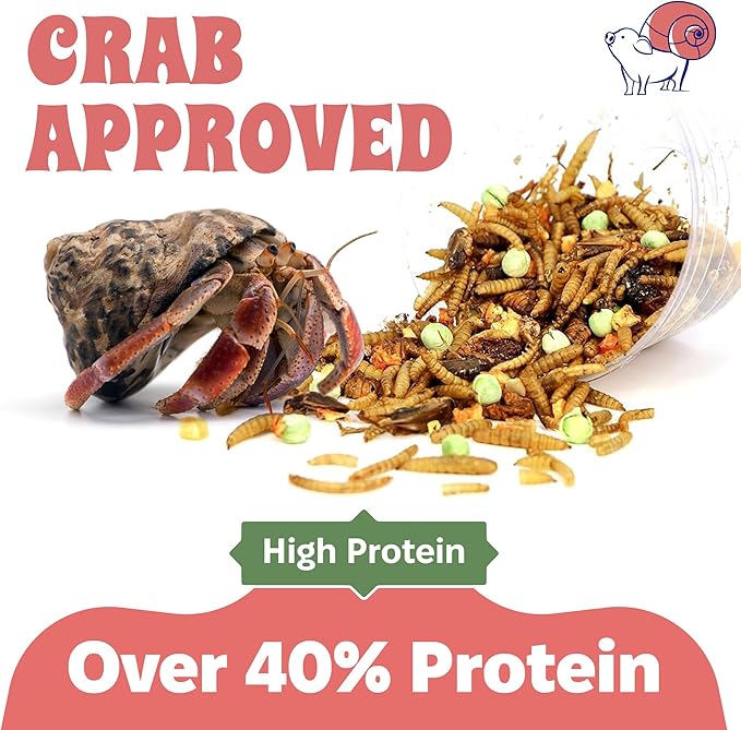 Snout and Shell Hermit Crab Food Bundle – Fruity Breakfast Blend, Crabby Bug Blend & Greensand – Organic, High Protein, Natural Minerals – Complete Nutrition for Healthy Shell Growth & Vitality