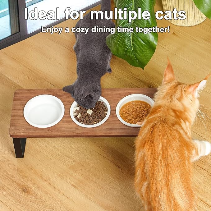 Sunhoo Elevated Cat Bowls for Indoor Cats Raised Tilted Food Water Kitty Dish Stand with 6 Ceramic Bowl Set Orthopedic Wooden Pet Feeder Feeding Sation Reduces Vomiting 4.7in Easy Assembly(Brown)