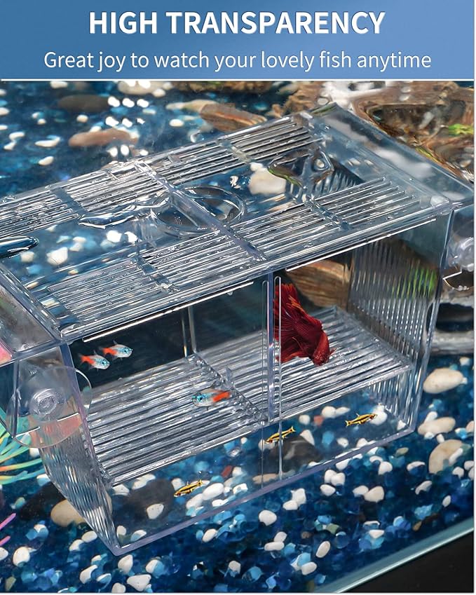 Pawfly Aquarium Fish Breeding Box Acrylic Hatchery Incubator Tank with Suction Cups Medium Isolation Box for Baby Fish Shrimp Betta and Guppy