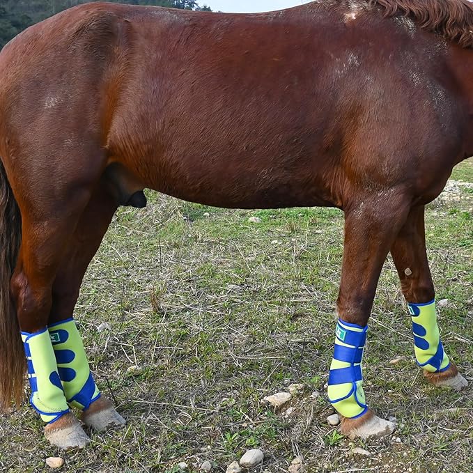 Equine Sport Horse Boots Set of 4 – Neoprene Leg Protection with Durable Hook & Loop Straps, Breathable & Comfortable Fit for Training, Riding, and Performance（Green, Large）
