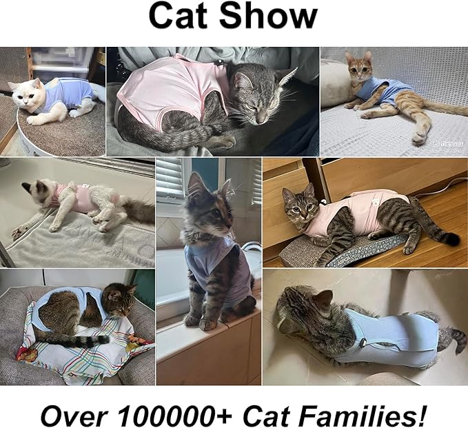 Cat Recovery Suit, Surgical Recovery Clothes for Abdominal Wound or Skin Disease, Cats Onesie After Surgery and Spay, E-Collar Alternative Pajama Suit (Purple, Large)