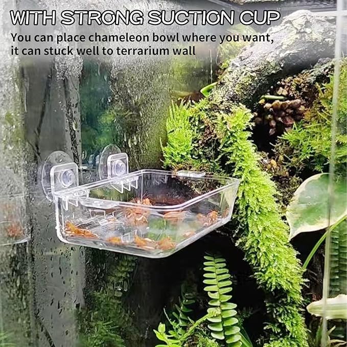 Tfwadmx 2 Pcs Chameleon Bowl, Reptile Feeding Food, Water Dish Gecko Worm Feeder Anti-Escape Hanging Chameleon Supplies Accessories for Lizard Bearded Dragon Snakes