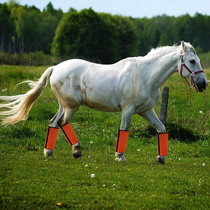 4 Pack Mesh Fly Boots for Horse Loose Breathable Horse Leggins Protective Horse Leg Wraps Protective Horse Leggings for Preventing Flies Bites (A)