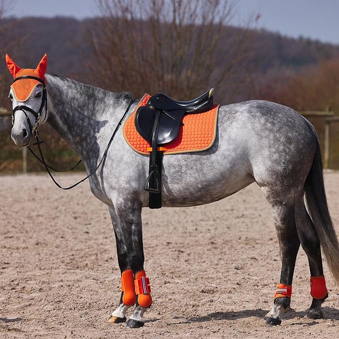 HORZE Adepto Open Front Tendon Boots | Durable Shell with Neoprene Lining - Coral Gold - Pony