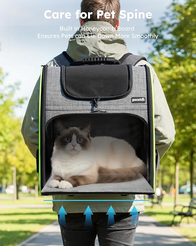 Pecute Cat Backpack Carrier XL, Expandable Pet Backpack for Cats & Small Dogs Up to 15lbs, with 4-Side Breathable Mesh, Multi-Entry & Lockable Zippers for Travel, Hiking, Camping - Hands Free, Gray