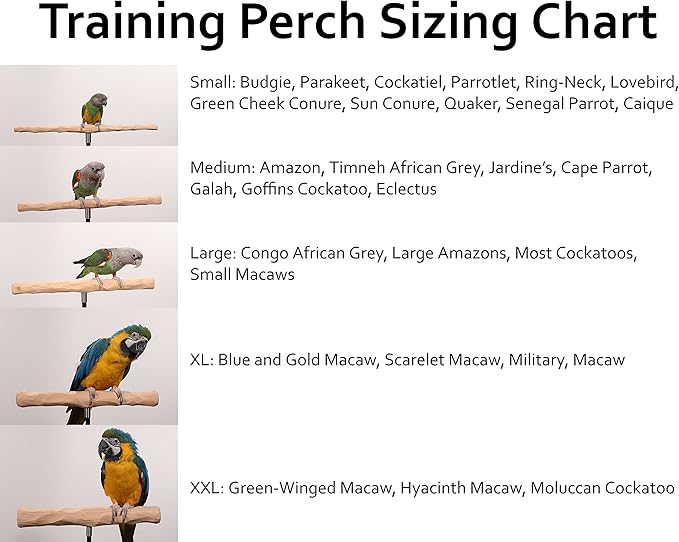 Parrot Training Perch Kit (T Perch, Large)