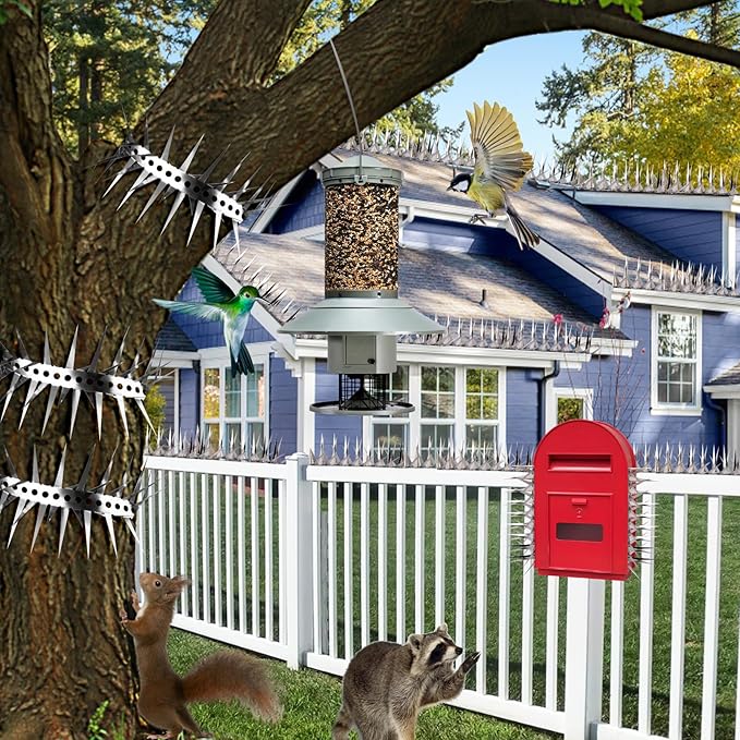 Bird Spikes,79 inch Stainless Steel Bird Deterrent Spikes,Raccoon and Snake Deterrent,Squirrel Baffles for Bird Feeders,Pigeon Spikes for Outside,Anti climb spikes Garden Fences and Fruit Trees