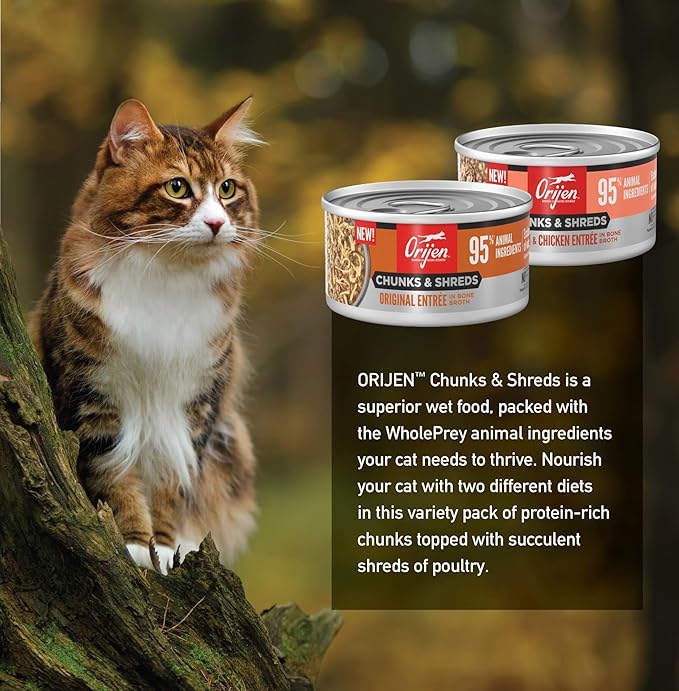 ORIJEN Chunks & Shreds Wet Cat Food Variety Pack: Original + Salmon & Chicken Entrées 3oz Cans (12 Count, 6 of Each)