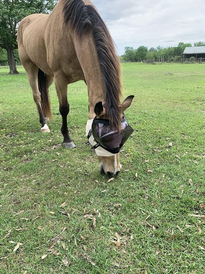 Recovery Vizor, (Size: Mini/Foal - Dark UV Tint) Medical and Preventative Horse Eye (Goggle) Protection Mask for Uveitis/Injury/Scratch or Corneal Ulcer, Infection, Blindness.