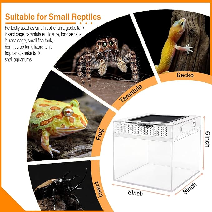 Reptile Terrarium, Jumping Spider Enclosure Starter Kit, Leopard Gecko Habitat Container, 8"x8"x6"Reptile Tank for Tarantula, Hermit Crab, Insect, Fish, Frog, Small Bearded Dragon, Lizard