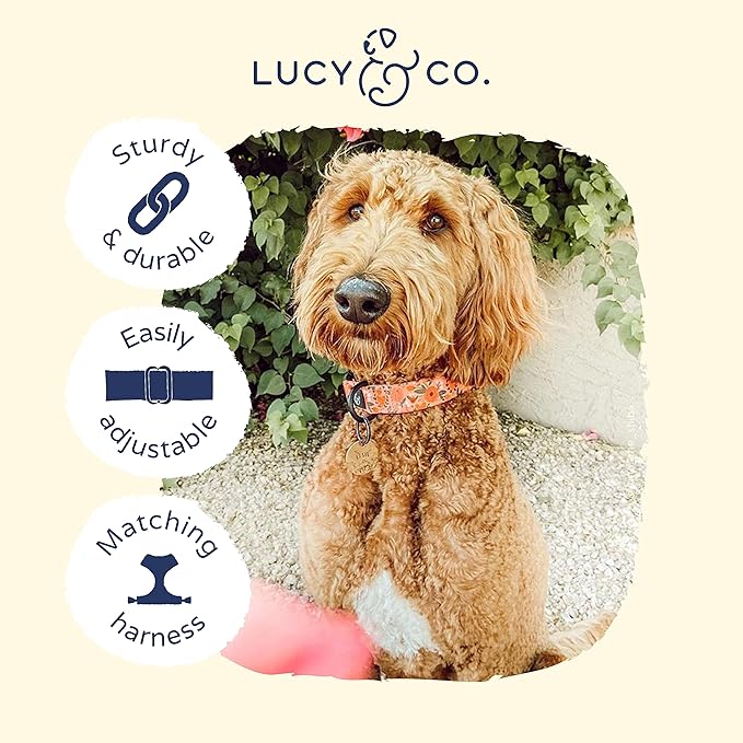 Lucy & Co. Posy Pink Dog Collar - Durable Lightweight Designer Collar for Pets - Adjustable Metal Safety Buckle - Coral Pink Floral - Small