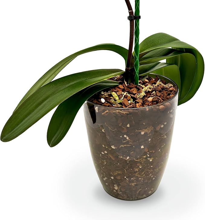 Organic Premium Orchid Soil Mix by Gardenera - Hand Mixed Classic Sphagnum Moss Potting Soil Mix - for Phalaenopsis Orchid - 3 Quart - Made in USA
