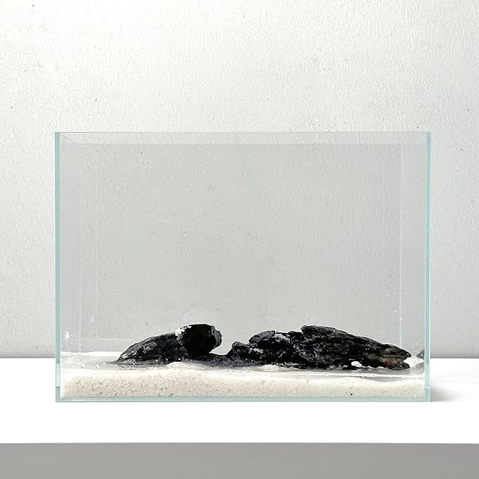 Nano Aquarium kit, Small Betta Fish Aquarium, 2.2 Gallon Rimless Glass Fish Tank with Filter and Light (Transparent, Essential)