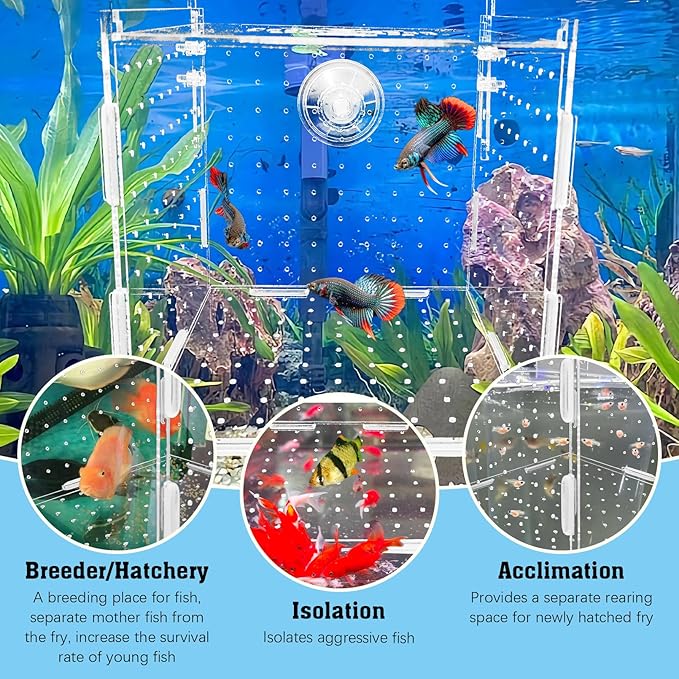 Hamiledyi Acrylic Breeding Isolation Box - Transparent Aquarium Hatchery for Guppy/Shrimp/Small Fish, Safe Nursery Tank with Air Tube & Suction Cups(5.9" × 5.9" × 5.9")