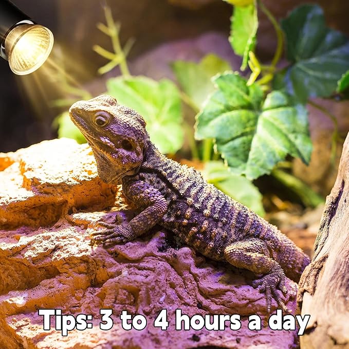 Reptile Heat Lamp, UVA UVB Heat Lamp Bulbs, E26 Turtle Heat Lamp Blubs 25W 4Pack, Basking Light for Bearded Dragon, Lizard, Snake and Frog