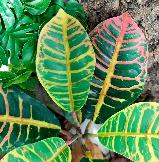 Woyrise Reptile Plants for Terrarium, 9" Fake Rubber Tree Ball Python Tank Accessories Habitat Decor fit Crested Gecko Leopard Bearded Dragon Lizard Chameleon Snake - Codiaeum variegatum