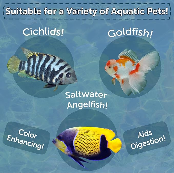 Aquatic Foods Inc. Brine Shrimp, Freeze Dried Floating Brine Cubes for Cichlids, Discus, Tetras, Goldfish, Bettas, Angels, Marines, All Tropical Fish, Aquatic Turtles 0.6oz Canister