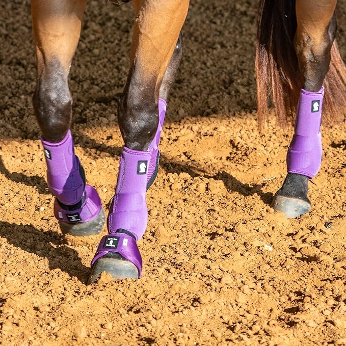 Classic Equine Legacy2 Support Boots, Front
