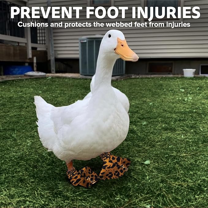 Duck Shoes for Injured Feet – Protective Neoprene Footwear for Ducks, Protective Shoes for Birds with Injured feet, Bumblefoot Relief - Large, 4.5” Max. Inside Width - Leopard