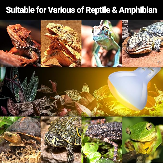 REPTI ZOO Reptile Heat Lamp Bulb 150W,2 Pack Neodymium Basking Spot Light, UVA Daylight Heating Lamp for Amphibian & Chicken Brooder | Simulated Natural Sunlight for Bearded Dragon,Lizard,Tortoise